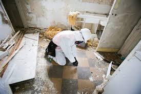 A Closer Look: Asbestos Survey Types and Their Applications post thumbnail image